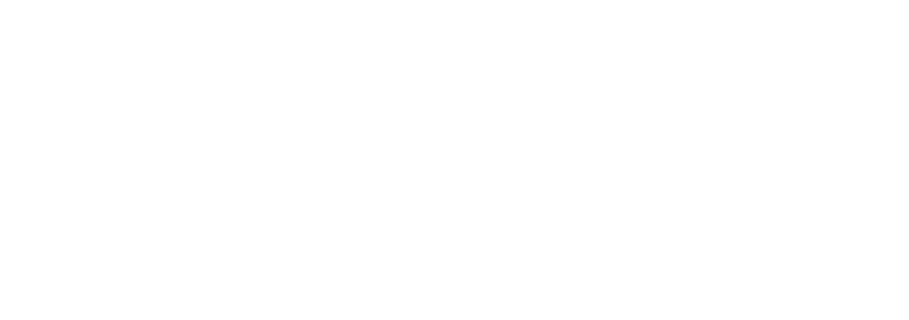 Roman Home Solutions